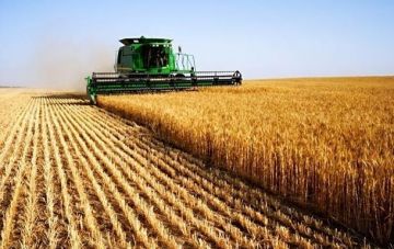 Половина украинцев против продажи сельхоз земель – опрос
