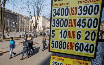 Украинский бизнес дал валютный прогноз на 2019 год