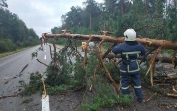 На Волыни и Прикарпатье обесточены почти 50 населенных пунктов