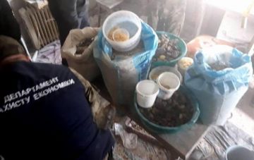 На Ровенщине разоблачили цех по переработке янтаря