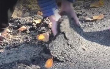 На Закарпатье после ремонта дороги асфальт поднимают руками