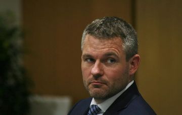 Авто с премьером Словакии сбило оленя, есть пострадавшие