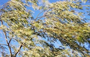 На Прикарпатье зафиксированы аварийные обесточивания