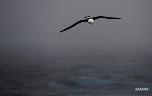 Украинские ученые впервые за 17 лет отправились исследовать Южный океан