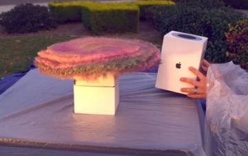 Инженер NASA проучил воров в стиле Один дома