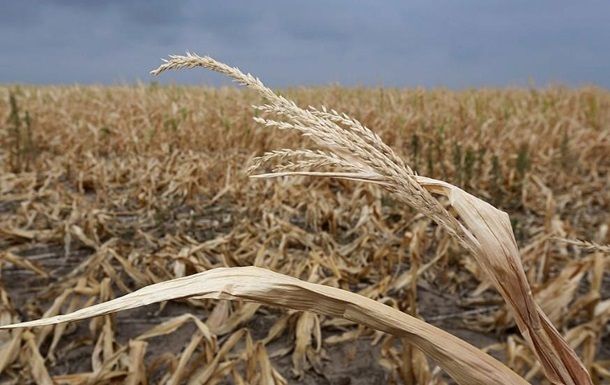 Вступил в силу закон о продлении моратория на продажу земли