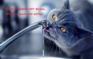 Завтра жилмассив Лузановка в Одессе частично останется без воды