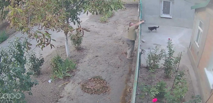 В Килии Одесской области мужчина стрелял в собак во дворе соседей и целился в детей