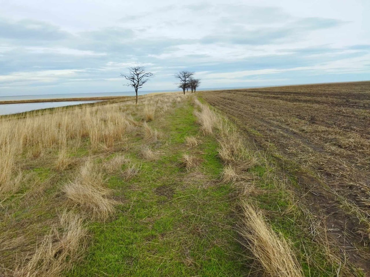 На Одещині сховали поле