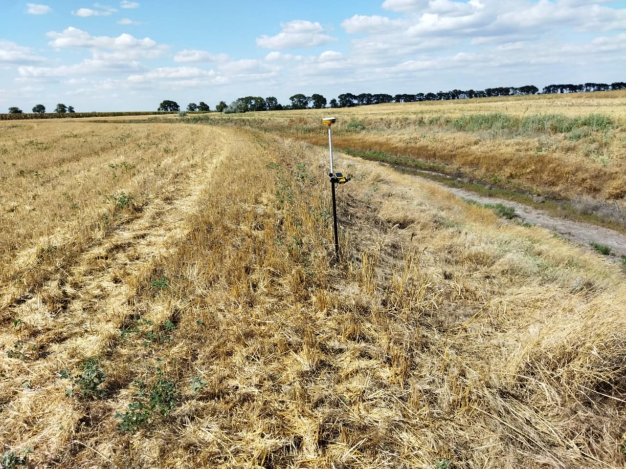 В Одесской области спрятали поле
