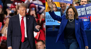 Вероятность победы Трампа составляет 53%