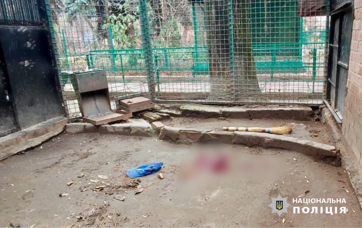 Одесские зоозащитники требуют наказать директора зоопарка