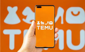 В Украине хотят ввести налог на Тему