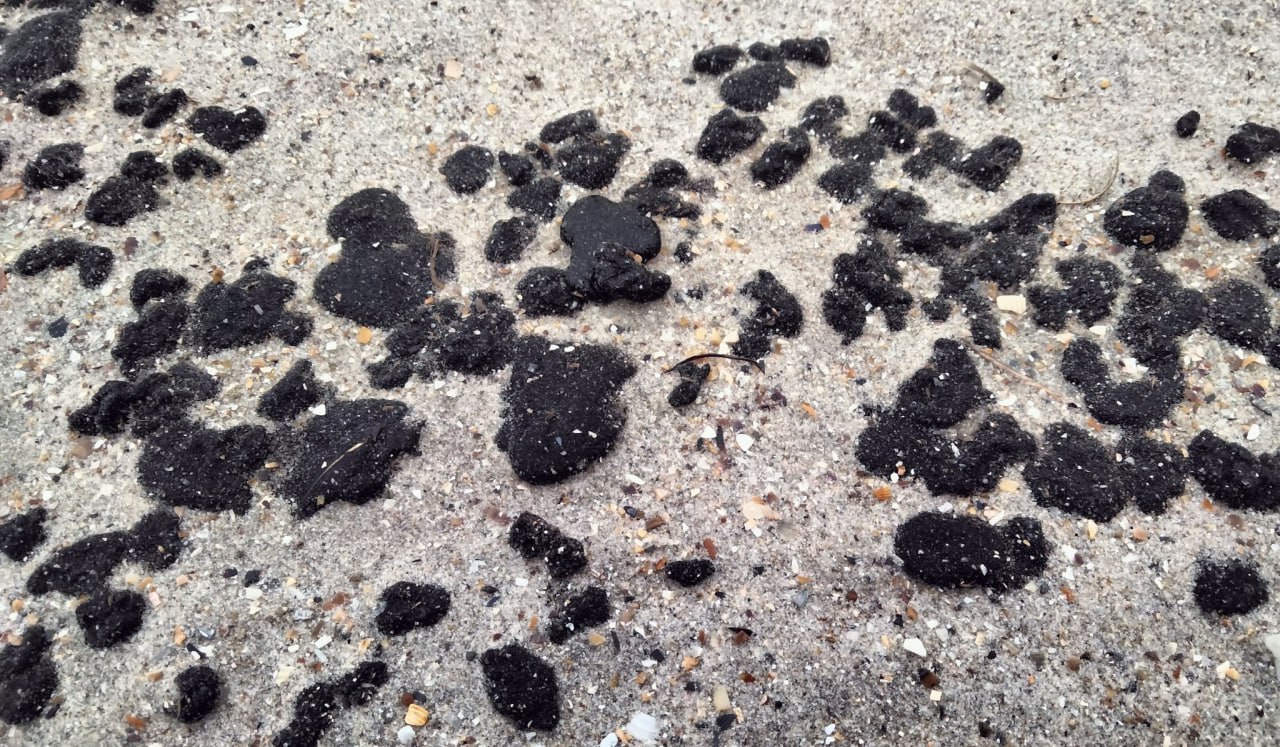 Риба у Чорному морі може стати токсичною