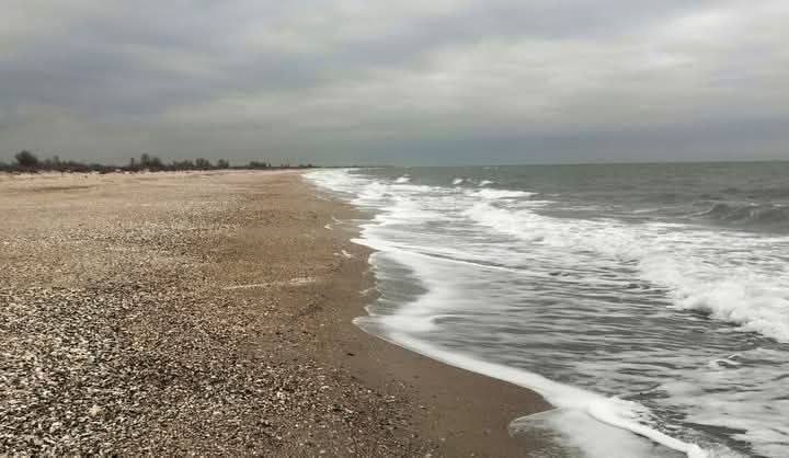 Обнаружили новый участок загрязнения мазутом