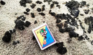 Обнаружили новый участок загрязнения мазутом