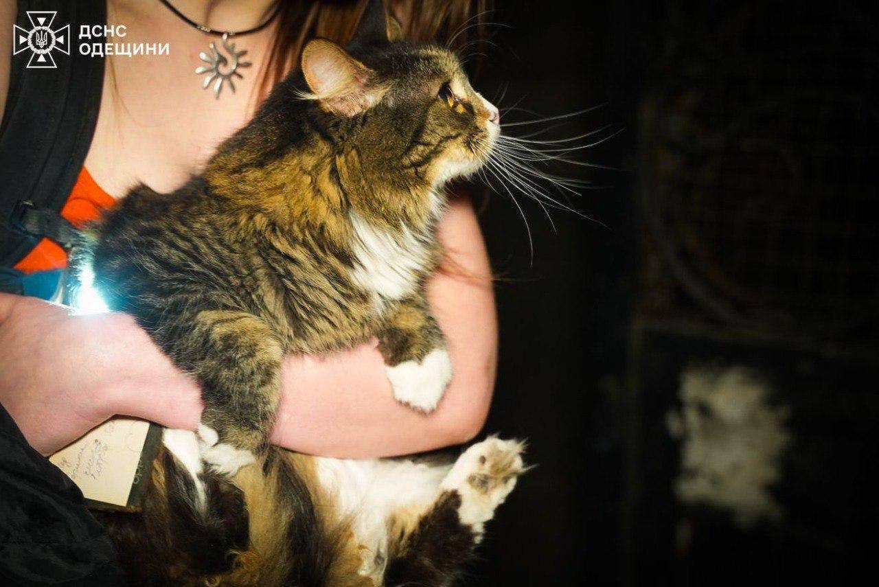 В одесском роддоме никто не пострадал