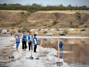 На лимане Куяльник провели экологическую акцию