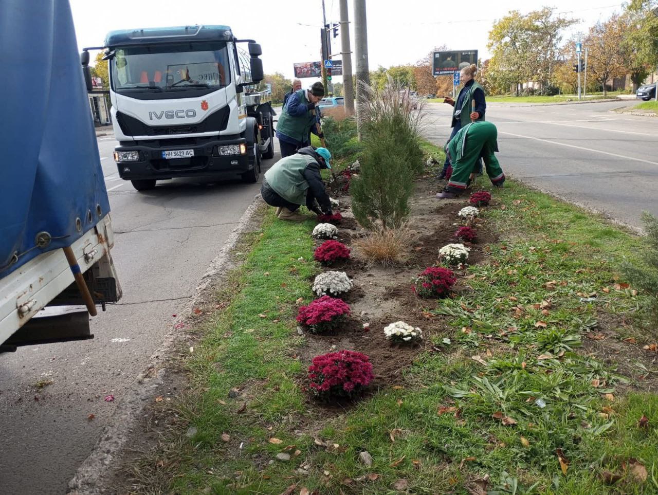 В Одесі висадили дерева