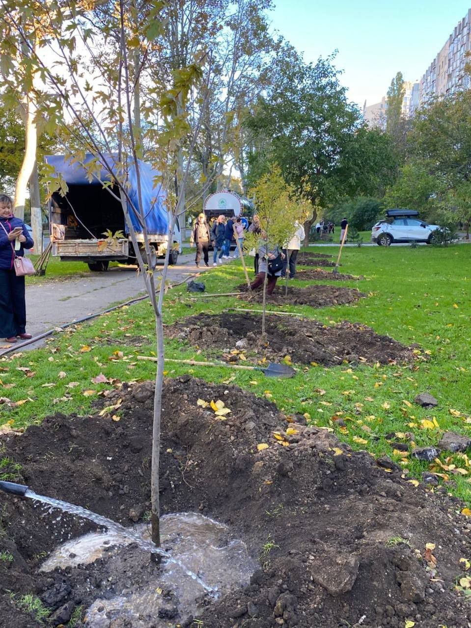 В Одессе высадили деревья