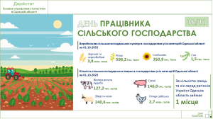 Фермеры Одесской области обработали 3,8 млн т зерна - Госстат