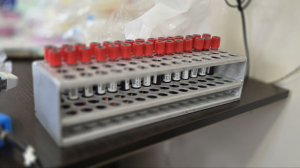 Одесский "Инфокс" сдал кровь для раненых