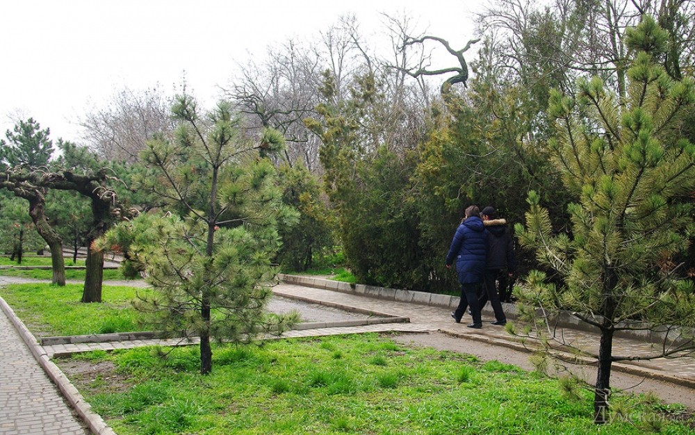 Новое кольцо пятого трамвая: мегастройка так и не началась (фото)