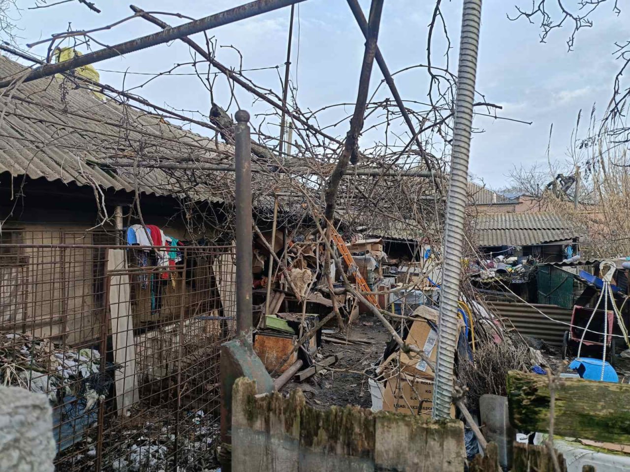 Зоозахисники здійснили рейд до притулку