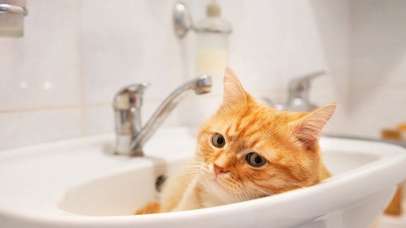 В Приморском районе Одессы отключат воду