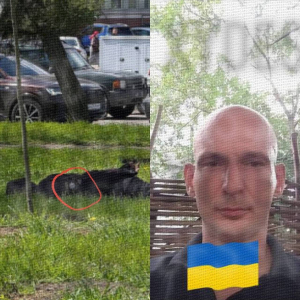 В Одессе задержаны военкомы и копа