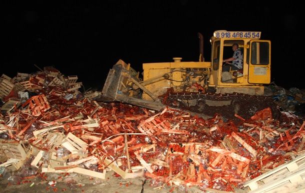 В РФ уничтожили почти 40 тонн украинской клубники