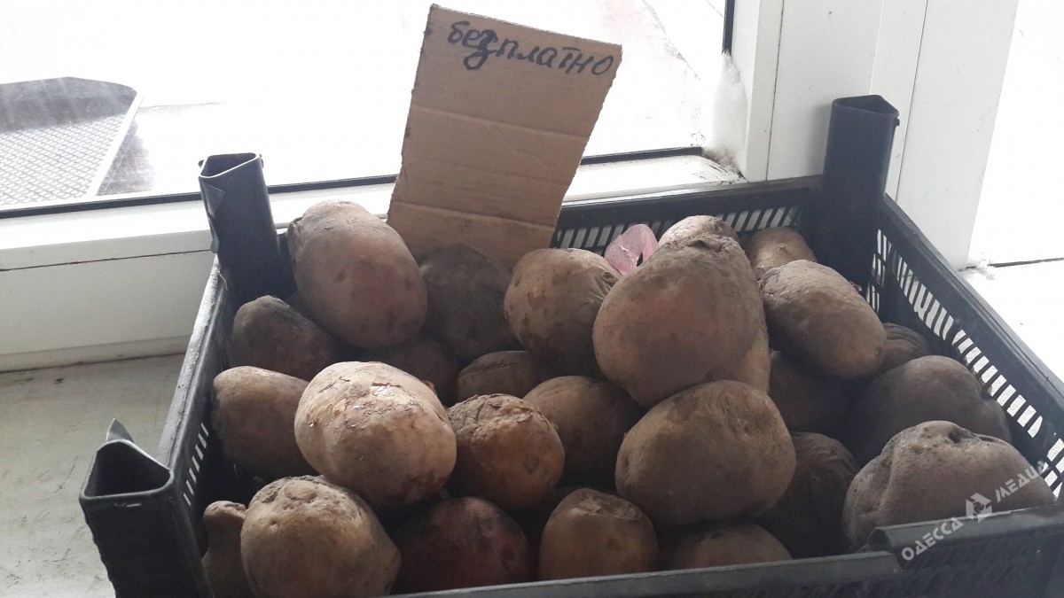 Одесские базары vs супермаркеты: где выгоднее отовариваться? (фото)