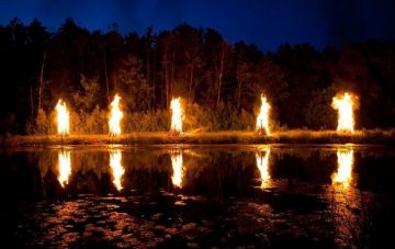 Биологи нашли причину появления туберкулеза