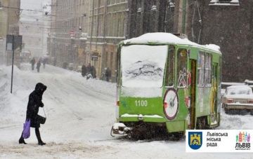 Во Львове за сутки выпала месячная норма осадков