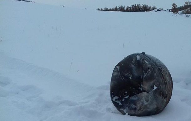 Второй обломок Прогресса нашли во дворе сельского дома