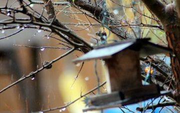 Украинцев ждут дожди и мокрый снег