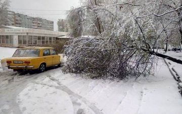 Синоптики предупреждают о снегопаде в Одесской области